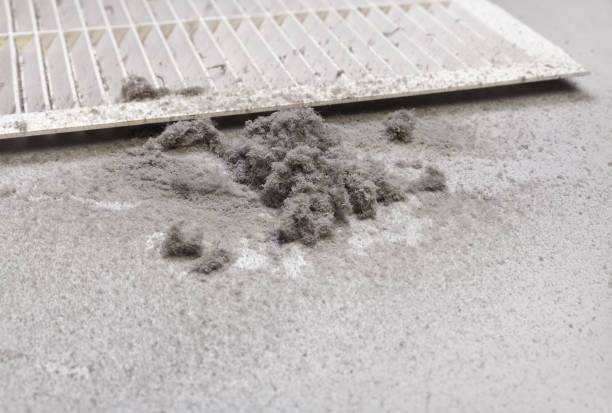 Best Home Air Vent Cleaning  in Wheaton, IL