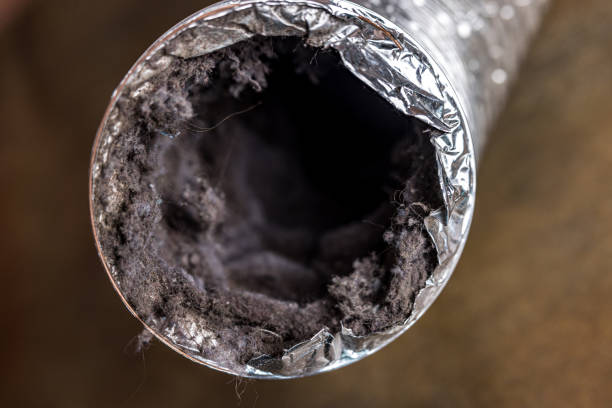 Best HVAC System Cleaning  in Wheaton, IL